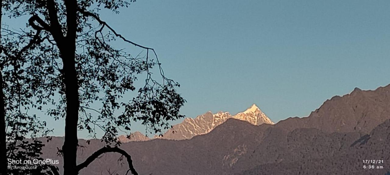 Bed and Breakfast Log Cabin In The Woods Gangtok Exterior foto